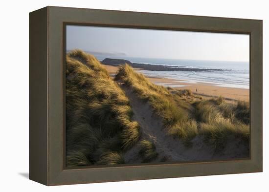 United Kingdom, Wales, Pembrokeshire. Dunes of Freshwater West Beach, Pembrokeshire, Wales.-Kymri Wilt-Framed Premier Image Canvas