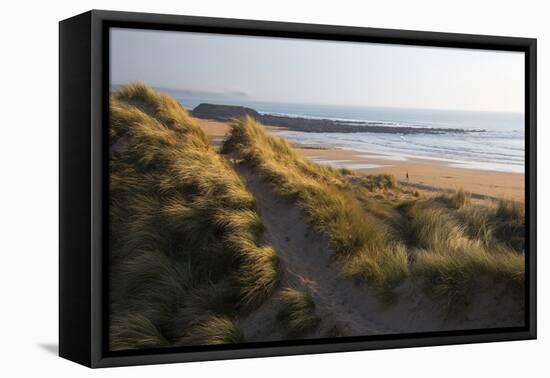United Kingdom, Wales, Pembrokeshire. Dunes of Freshwater West Beach, Pembrokeshire, Wales.-Kymri Wilt-Framed Premier Image Canvas