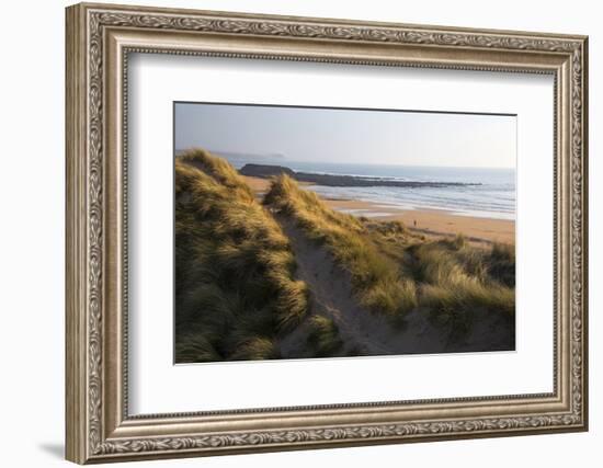 United Kingdom, Wales, Pembrokeshire. Dunes of Freshwater West Beach, Pembrokeshire, Wales.-Kymri Wilt-Framed Photographic Print