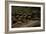 United States. Bandelier National Monument, Tyuonyi, Pueblo Indian Settlement-null-Framed Giclee Print