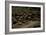 United States. Bandelier National Monument, Tyuonyi, Pueblo Indian Settlement-null-Framed Giclee Print