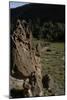 United States. Bandelier National Monument, Tyuonyi, Pueblo Indian Settlement-null-Mounted Giclee Print