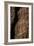 United States, Bandelier National Monument-null-Framed Giclee Print