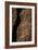 United States, Bandelier National Monument-null-Framed Giclee Print