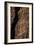 United States, Bandelier National Monument-null-Framed Giclee Print