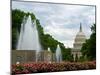 United States Capitol Building and Fountain in Washington Dc-Frank L Jr-Mounted Photographic Print