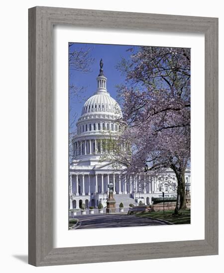 United States Capitol Building - Houses of Congress-Carol Highsmith-Framed Photo