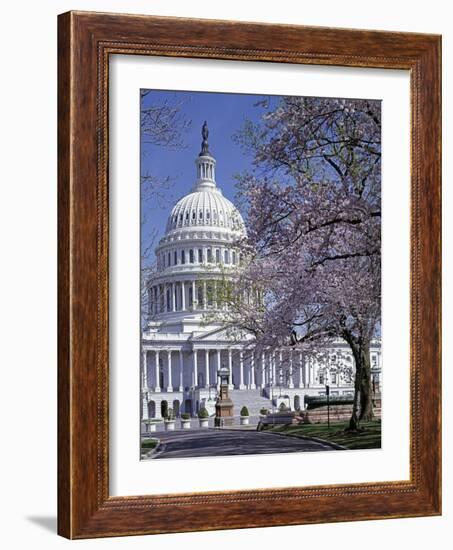 United States Capitol Building - Houses of Congress-Carol Highsmith-Framed Photo