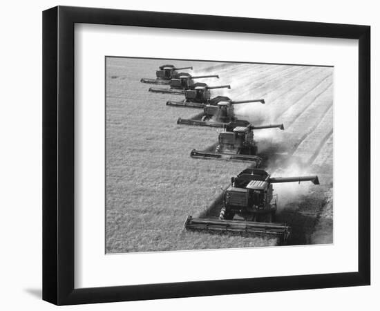 United States, Kansas: Kansas Wheat Being Harvested at Dusk during Summer, 2022 (Photo)-Sisse Brimberg-Framed Giclee Print