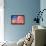 United States Peace Flag-daboost-Framed Stretched Canvas displayed on a wall