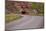 United States, Utah, Capitol Reef National Park, Historic Wooden Barn at Fruita-David Wall-Mounted Photographic Print