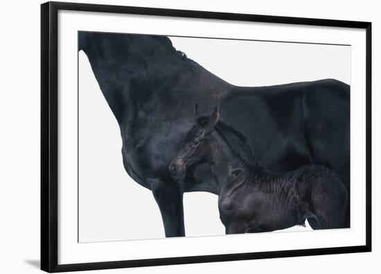 United-Irene Suchocki-Framed Giclee Print