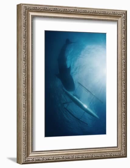 Unity-Andrey Narchuk-Framed Photographic Print