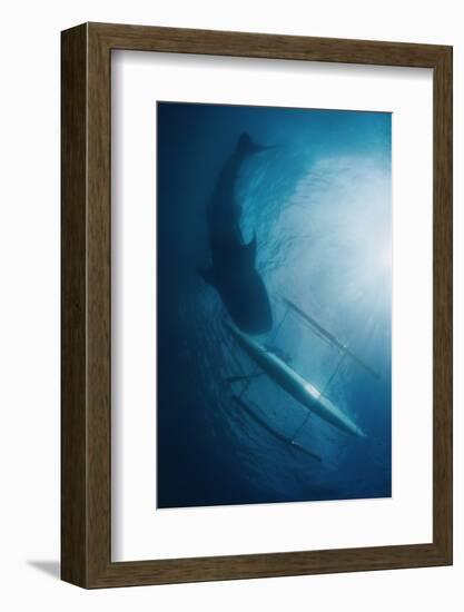 Unity-Andrey Narchuk-Framed Photographic Print