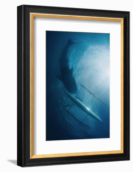 Unity-Andrey Narchuk-Framed Photographic Print