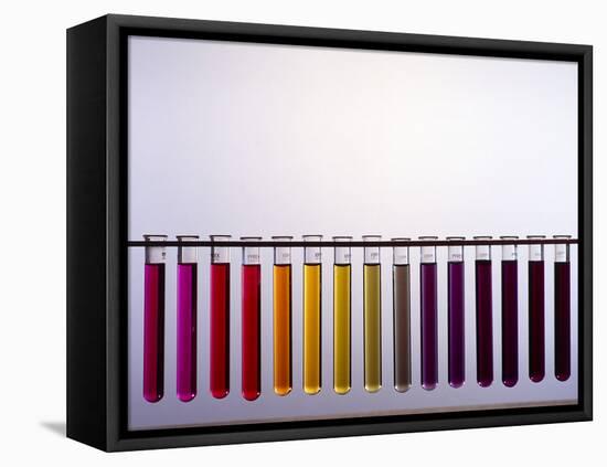 Universal Indicator Scale-Andrew Lambert-Framed Premier Image Canvas