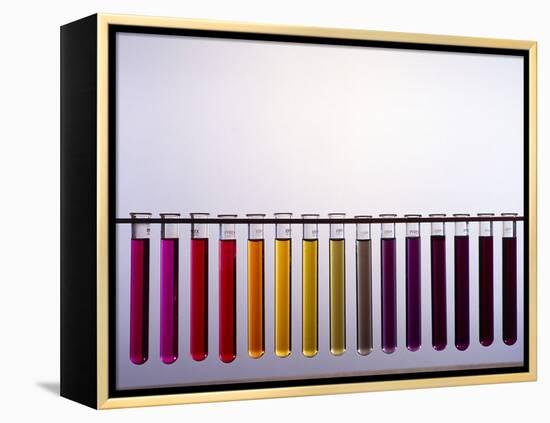 Universal Indicator Scale-Andrew Lambert-Framed Premier Image Canvas