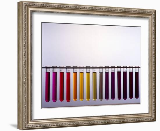 Universal Indicator Scale-Andrew Lambert-Framed Photographic Print