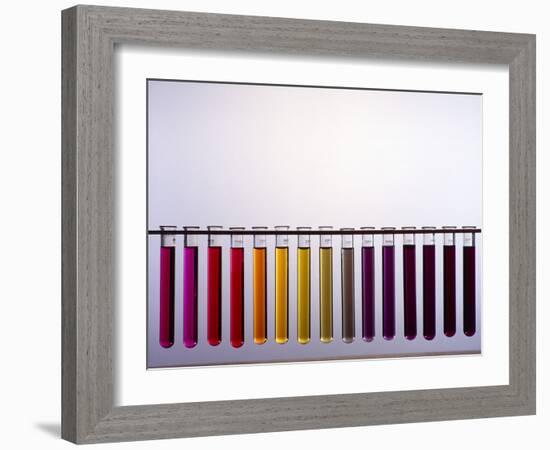 Universal Indicator Scale-Andrew Lambert-Framed Photographic Print