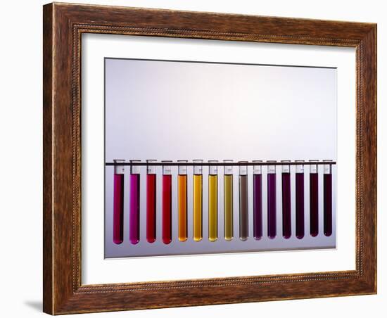 Universal Indicator Scale-Andrew Lambert-Framed Photographic Print