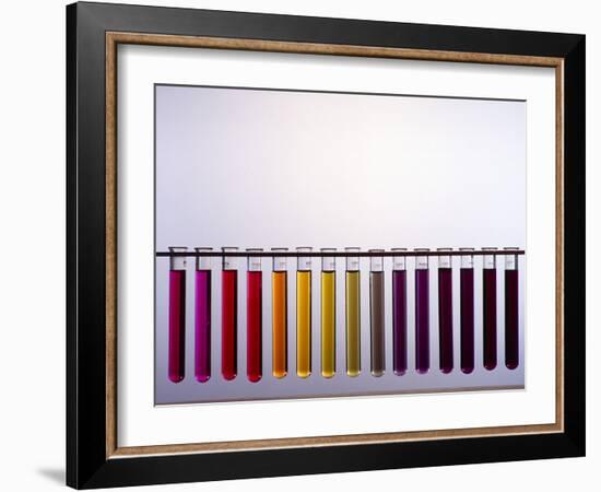 Universal Indicator Scale-Andrew Lambert-Framed Photographic Print