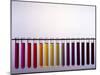 Universal Indicator Scale-Andrew Lambert-Mounted Photographic Print