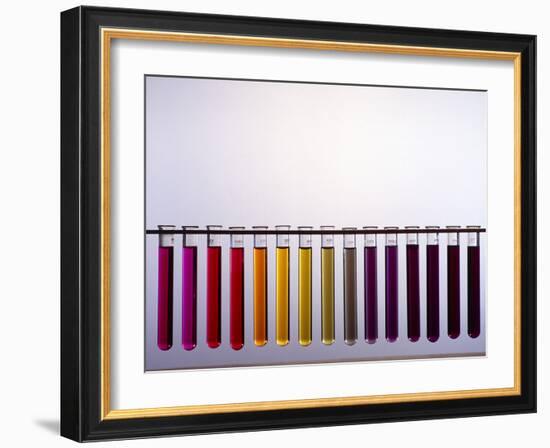 Universal Indicator Scale-Andrew Lambert-Framed Photographic Print