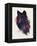 Universal Wolf-Robert Farkas-Framed Premier Image Canvas