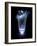 Universe Time Line, Artwork-Detlev Van Ravenswaay-Framed Photographic Print