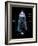 Universe Timeline, Artwork-Detlev Van Ravenswaay-Framed Photographic Print