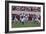 University Of Alabama Football Game, Tuscaloosa, Alabama-Carol Highsmith-Framed Art Print