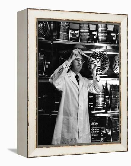 University of Pittsburgh Dr. Jonas Salk Examine Test Tube of Polio Virus Used to make Polio Vaccine-Alfred Eisenstaedt-Framed Premier Image Canvas