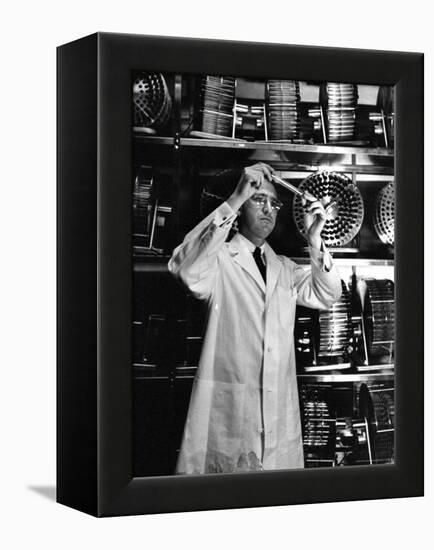 University of Pittsburgh Dr. Jonas Salk Examine Test Tube of Polio Virus Used to make Polio Vaccine-Alfred Eisenstaedt-Framed Premier Image Canvas