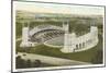 University Stadium, Evanston, Illinois-null-Mounted Art Print