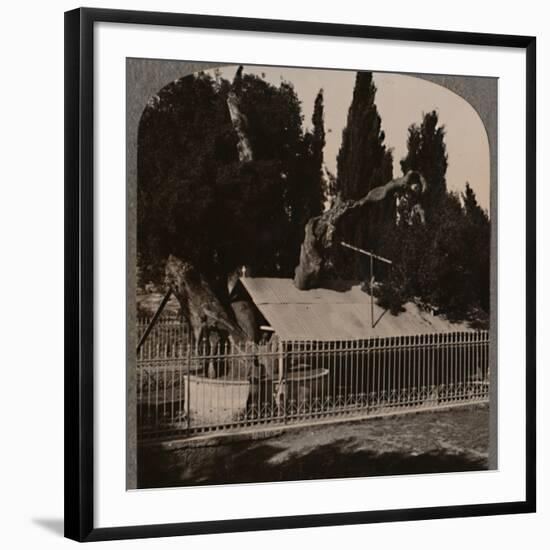 Photographic Print, , large