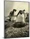 Photographic Print