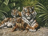 Yellow Tiger with Cubs-unknown Ampel-Art Print