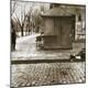 Photographic Print