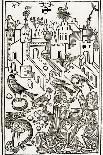 Zoology Lesson: Birds, 1491 (Wood Engraving)-Unknown Artist-Giclee Print