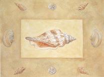 Shells II-unknown Bell-Framed Art Print