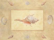 Shells II-unknown Bell-Framed Art Print