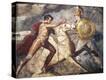 Stretched Canvas Print