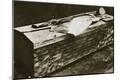 Photographic Print