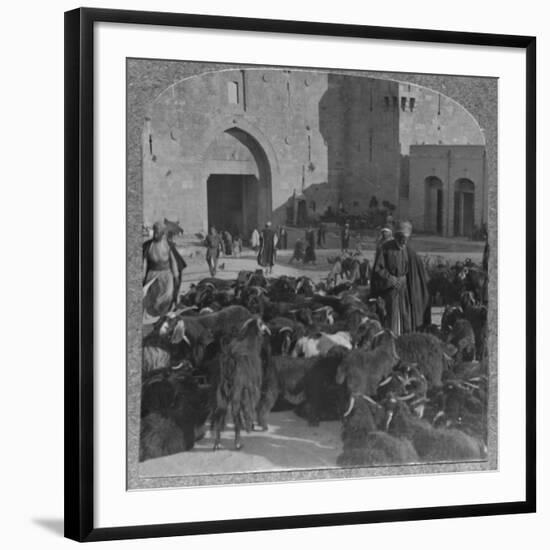 Photographic Print, , large