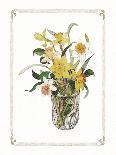 Yellow Daffodils-unknown Capello-Framed Stretched Canvas