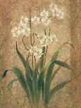 Orchid Study-unknown Chun-Stretched Canvas