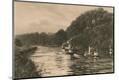 Photographic Print