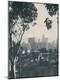 Photographic Print
