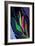 Unknown Flower 1-Rabi Khan-Framed Art Print