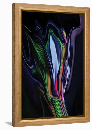 Unknown Flower-Rabi Khan-Framed Stretched Canvas